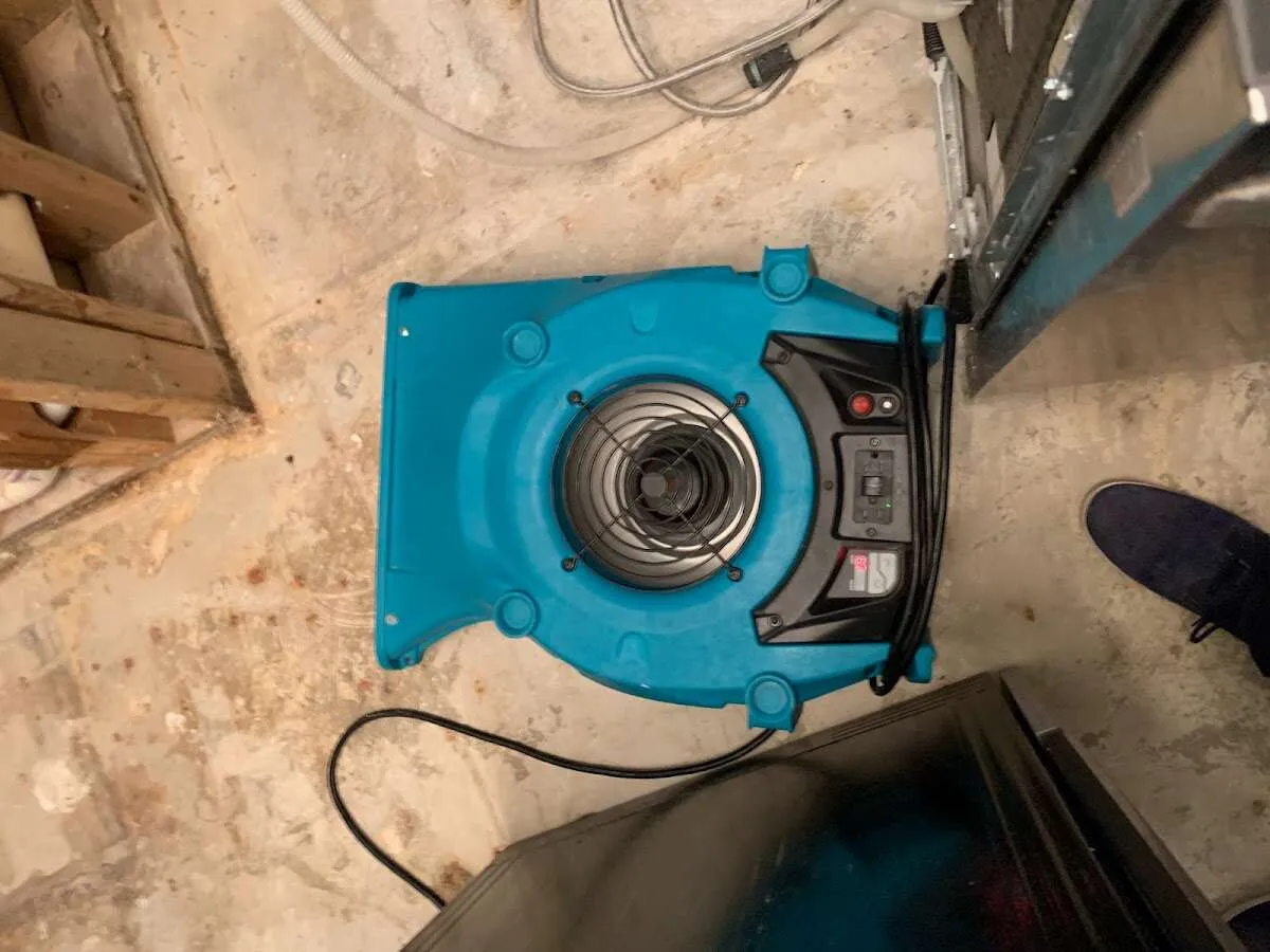 Air mover drying equipment for Mold Remediation & Removal in Winter Springs
