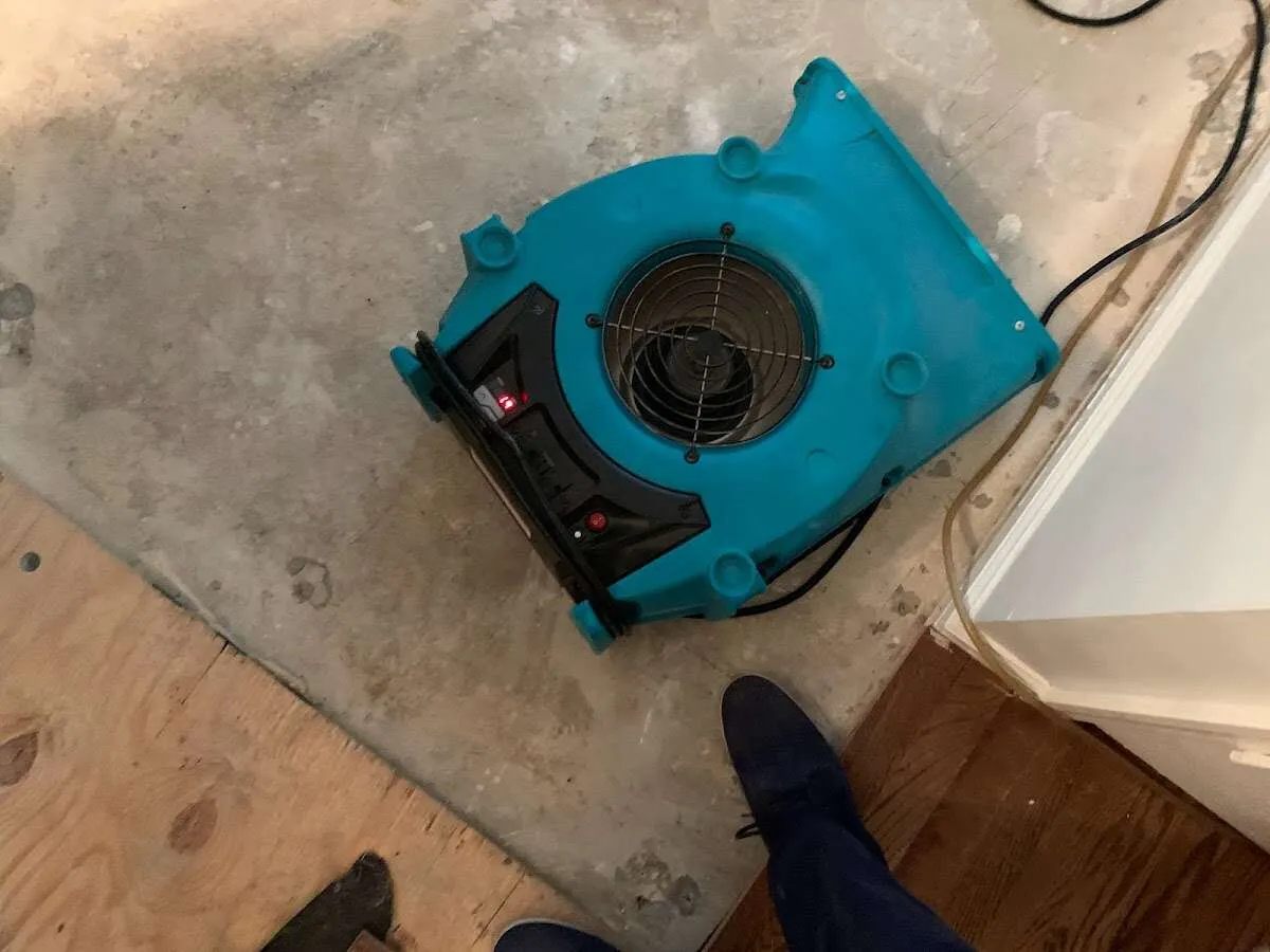 Air mover drying subfloor during Commercial Water Damage Restoration in Winter Springs